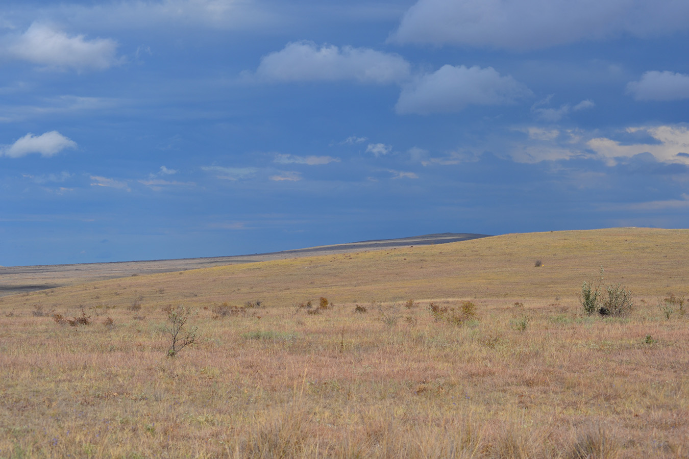 Караларская степь, image of landscape/habitat.