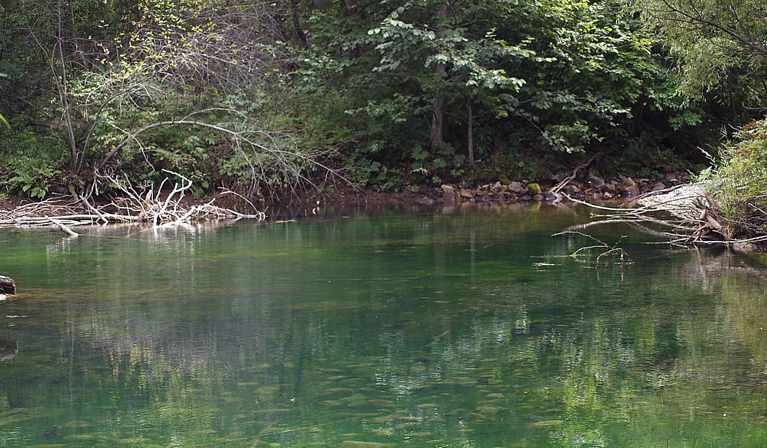 Кордон Америка, image of landscape/habitat.