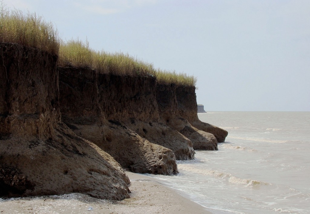 пос. Морозовский, image of landscape/habitat.