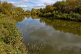 Окрестности деревни Рыжково, image of landscape/habitat.