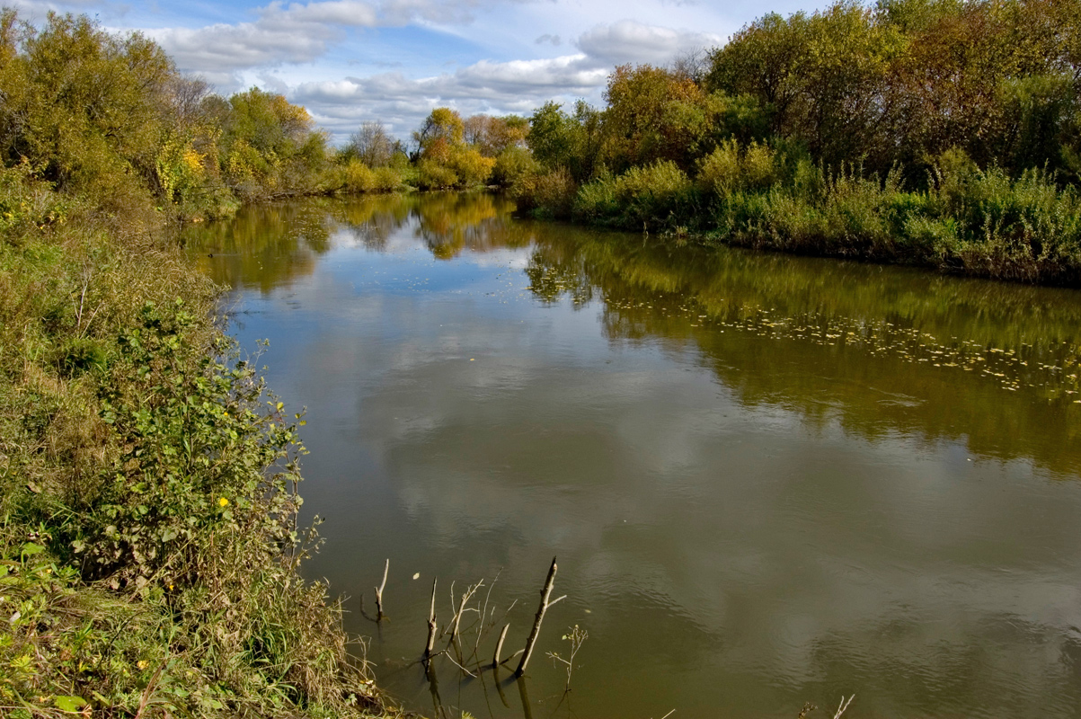 Окрестности деревни Рыжково, image of landscape/habitat.