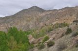 Окрестности крепости Петерек, image of landscape/habitat.