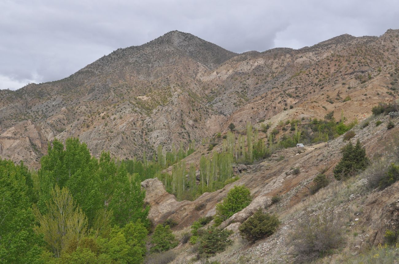 Окрестности крепости Петерек, image of landscape/habitat.