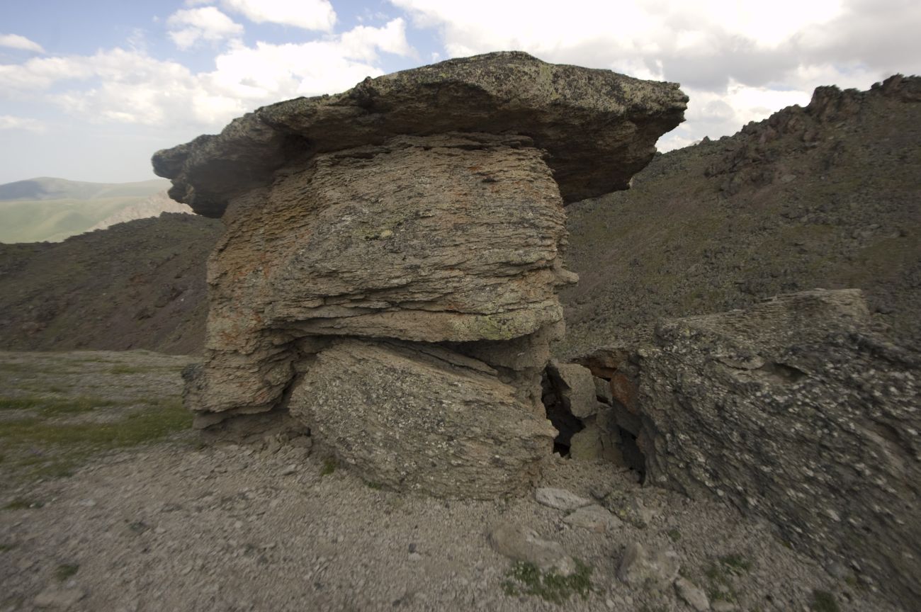 Урочище Каменные Грибы, image of landscape/habitat.