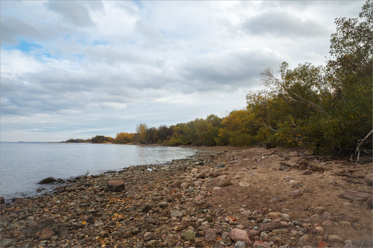 Западный Котлин, image of landscape/habitat.