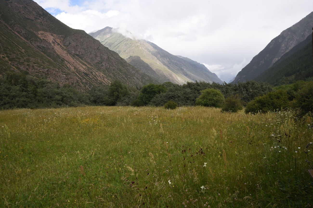 Памятник первовосходителям, image of landscape/habitat.