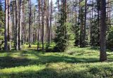 Изображение ландшафта