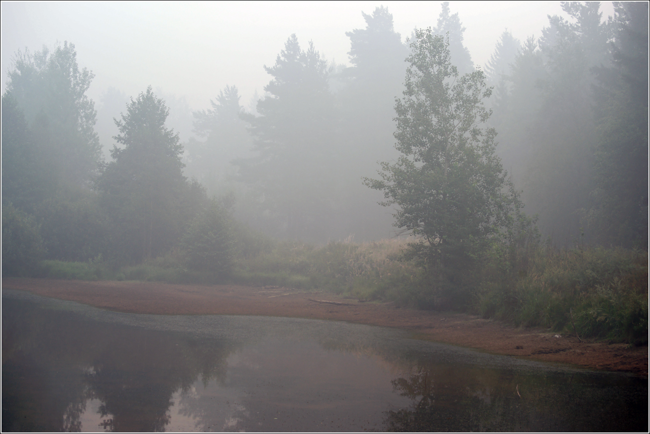 Окрестности Хрипани, image of landscape/habitat.