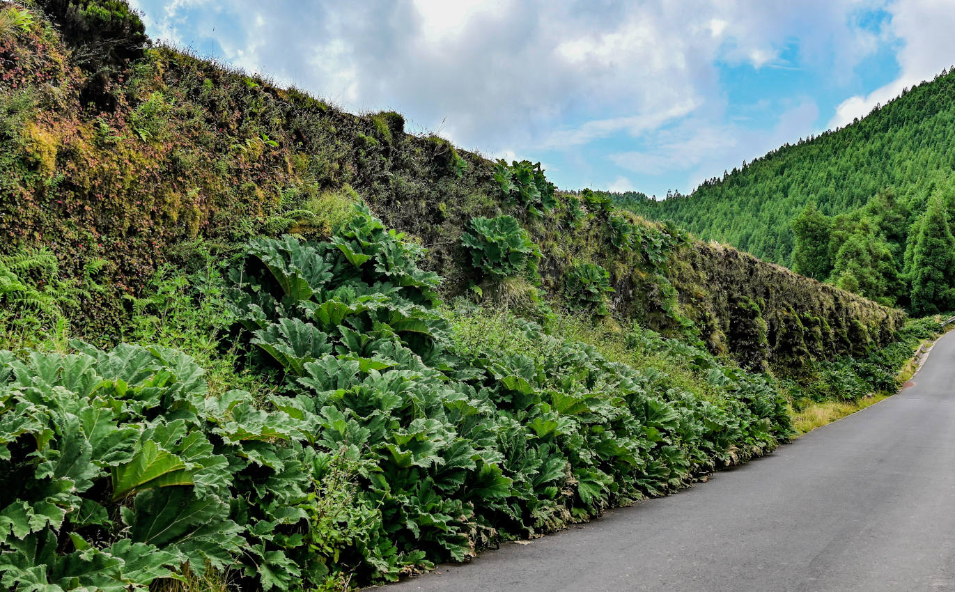 Сети-Сидадиш, image of landscape/habitat.