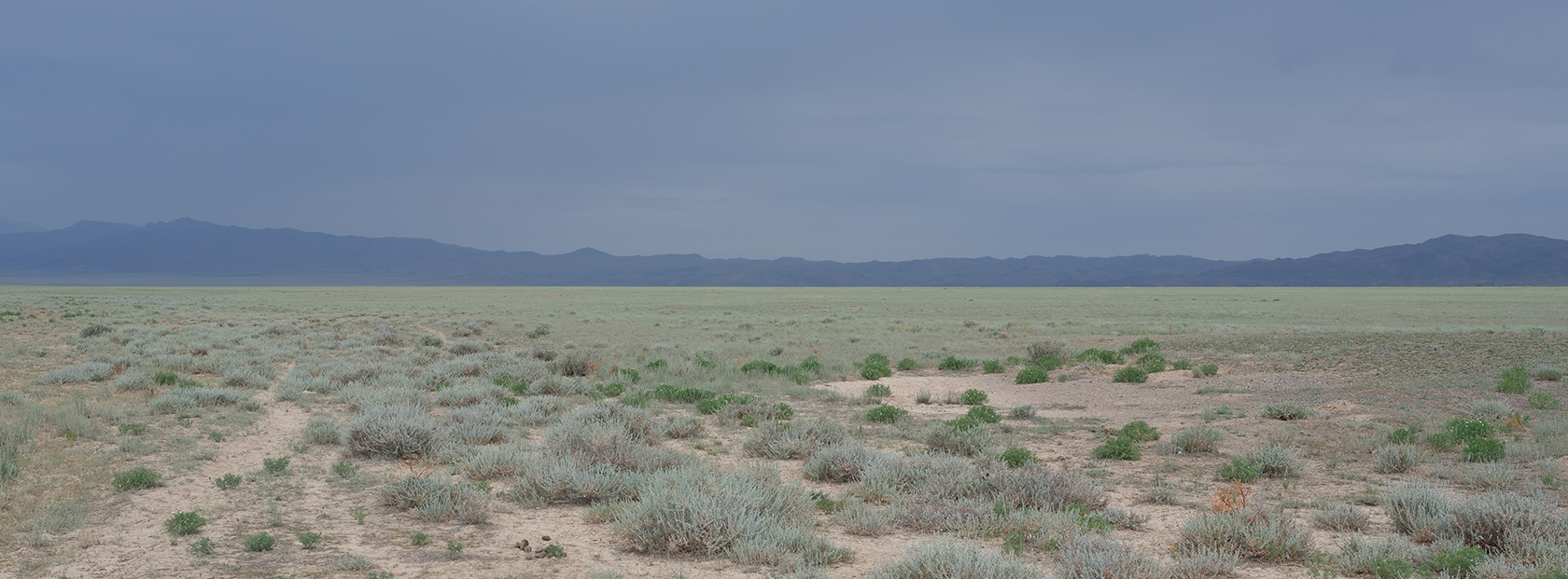 Сюгатинская долина, image of landscape/habitat.