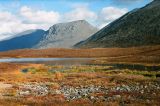 Желанный, image of landscape/habitat.