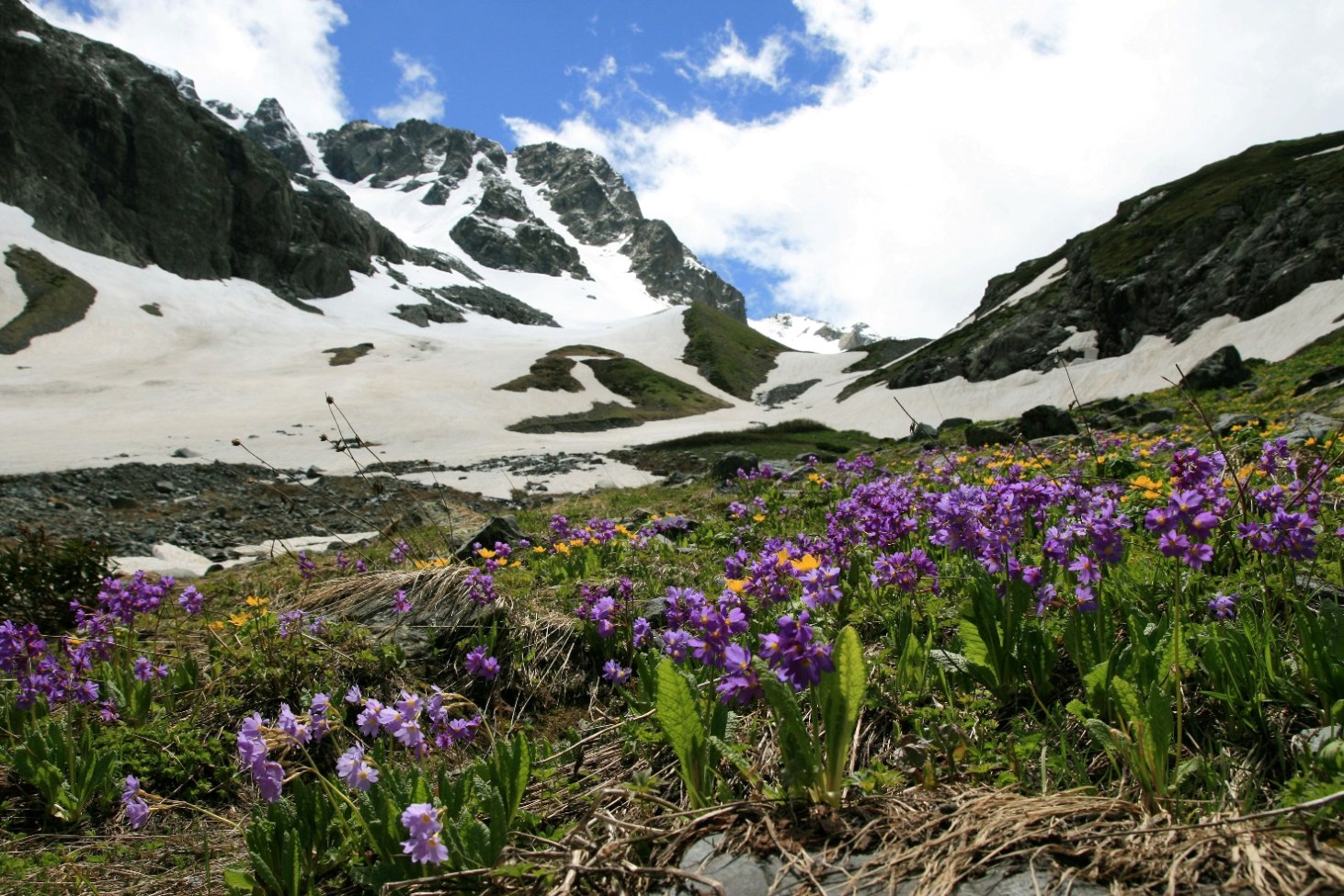 Архыз. Долина реки Псыш, image of landscape/habitat.