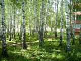 Image of landscape