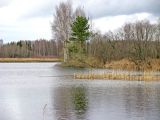 Image of landscape