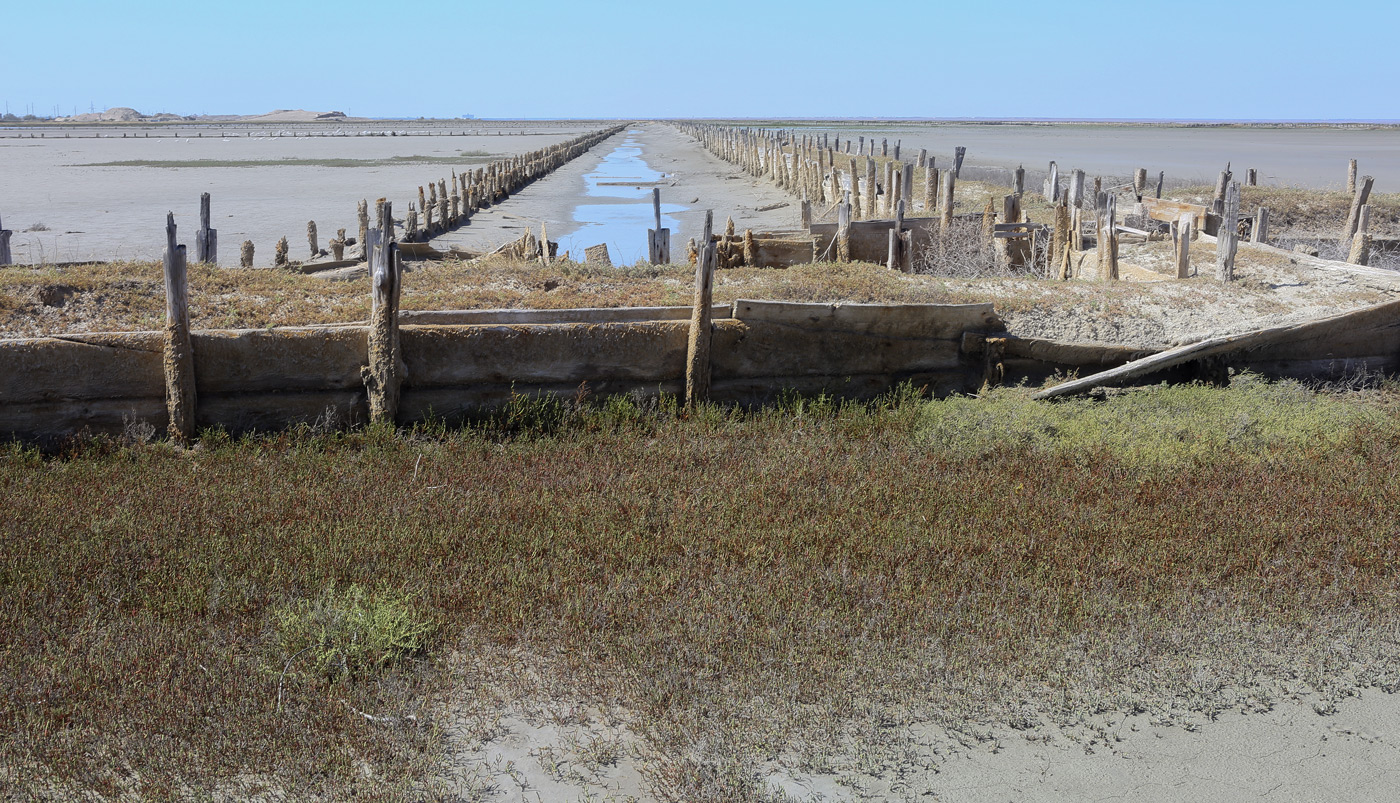 Окрестности озера Сасык, image of landscape/habitat.