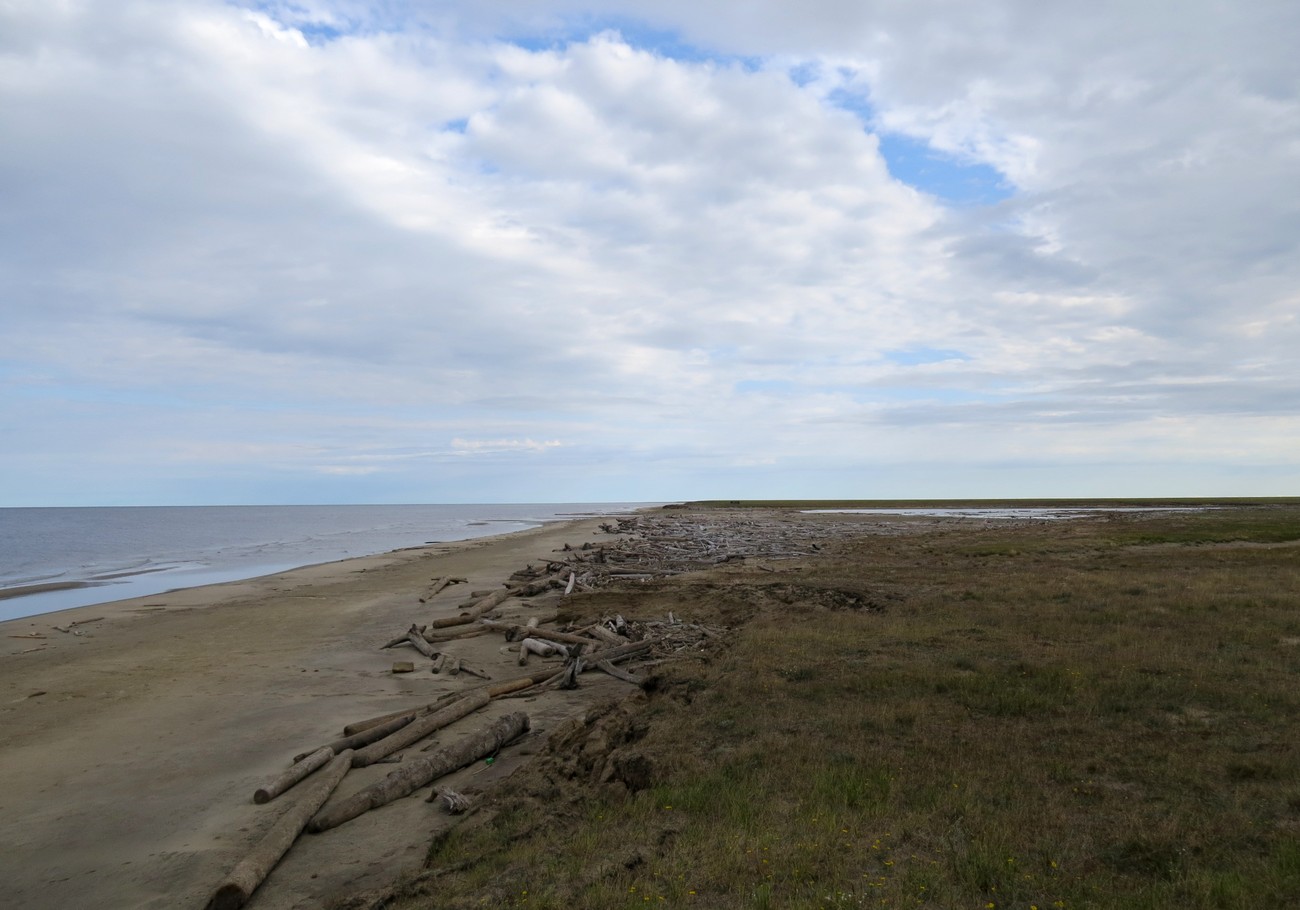 Остров Сибирякова, image of landscape/habitat.