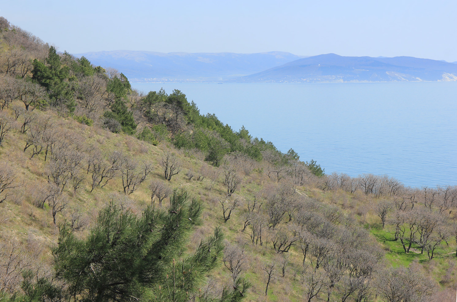 Мыс Мысхако и окрестности, image of landscape/habitat.