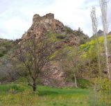 Окрестности деревни Кёрпюгёрен, image of landscape/habitat.