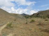 Image of landscape