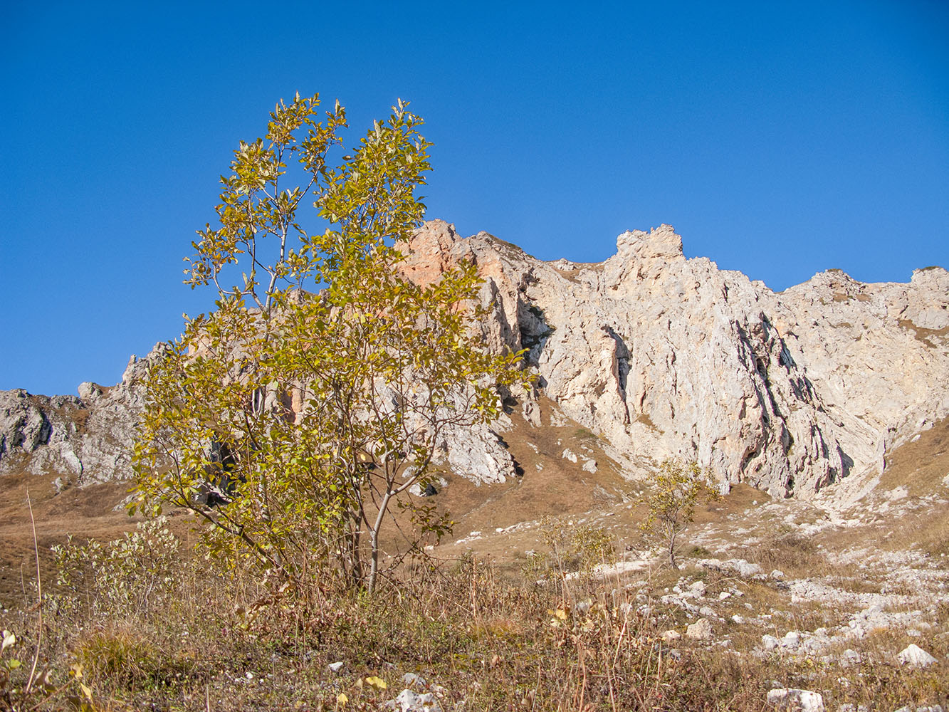 Яворова Поляна, изображение ландшафта.