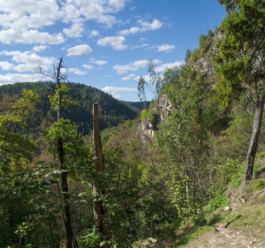 Окрестности деревни Таш-Асты, image of landscape/habitat.