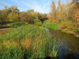 Балка Ольховая, image of landscape/habitat.