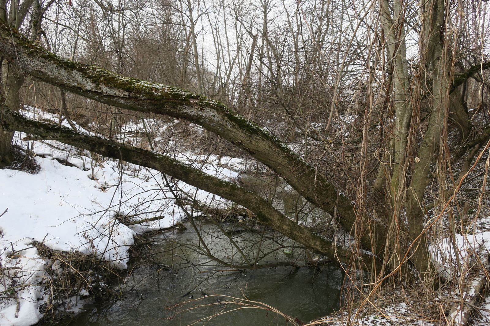 Малоярославец и окрестности, image of landscape/habitat.