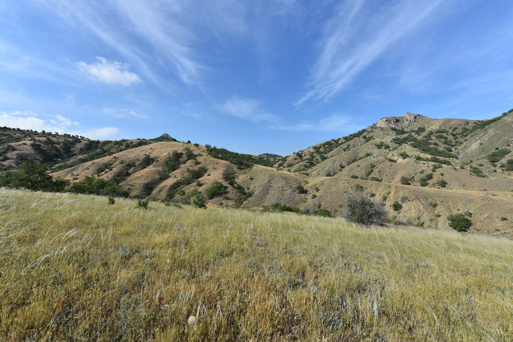 Лисья бухта, image of landscape/habitat.