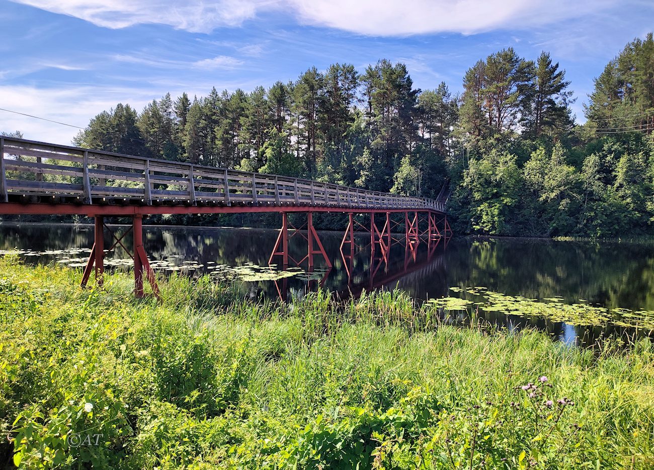 Устье Видлицы, image of landscape/habitat.