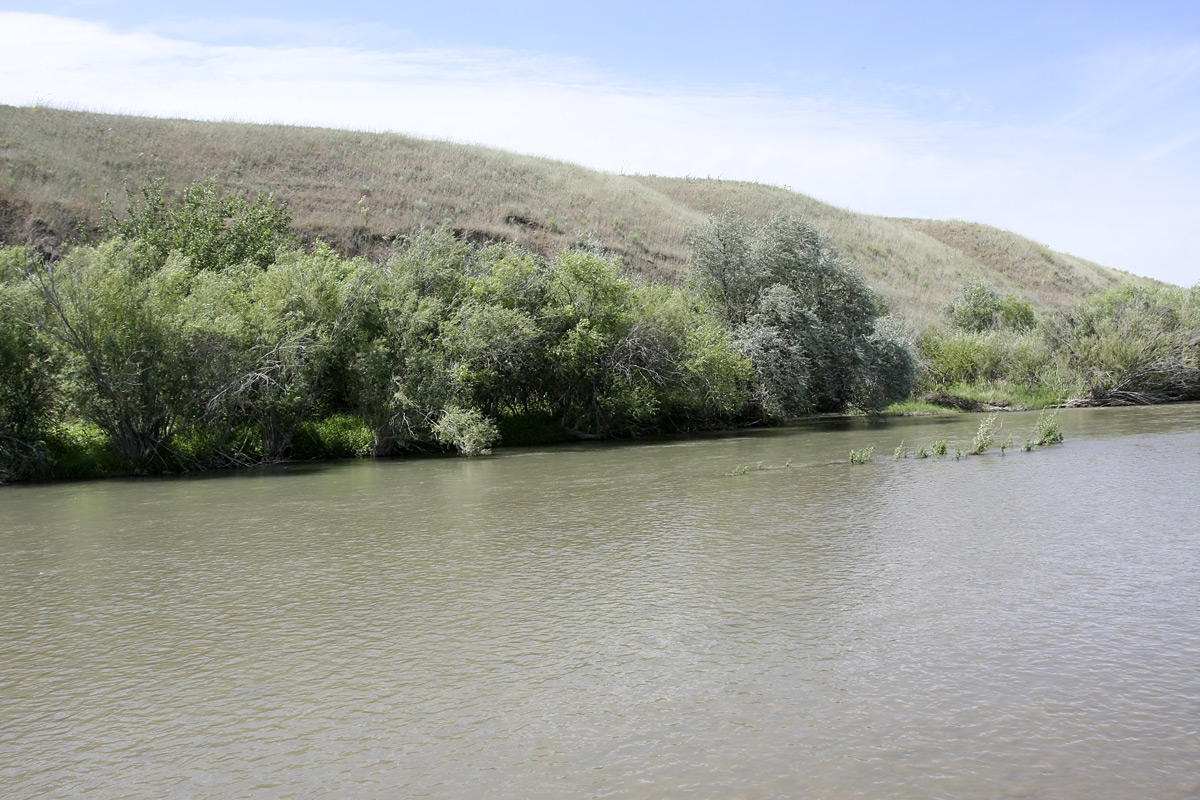 Нижний Боролдай, image of landscape/habitat.