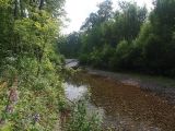 Image of landscape