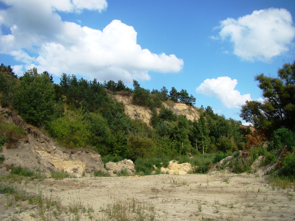Максимовка, image of landscape/habitat.