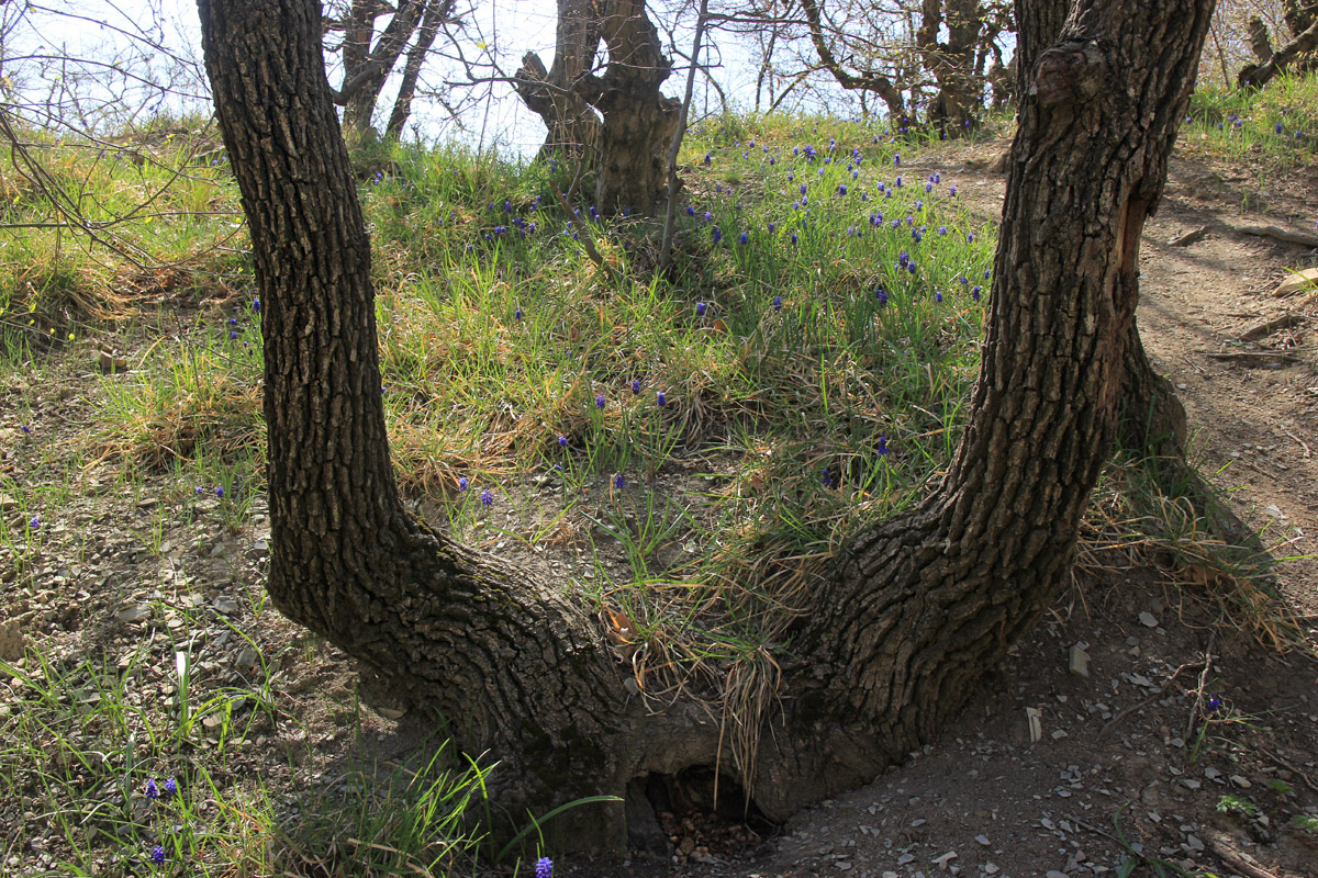 Мыс Мысхако и окрестности, image of landscape/habitat.