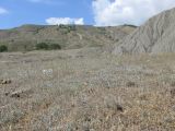 Image of landscape
