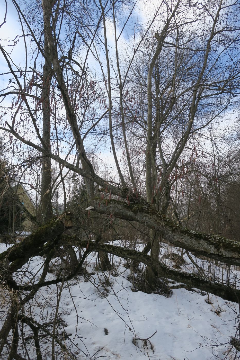 Малоярославец и окрестности, image of landscape/habitat.