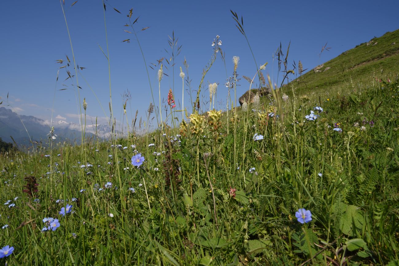 Окрестности урочища Ний, image of landscape/habitat.