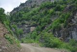 Image of landscape