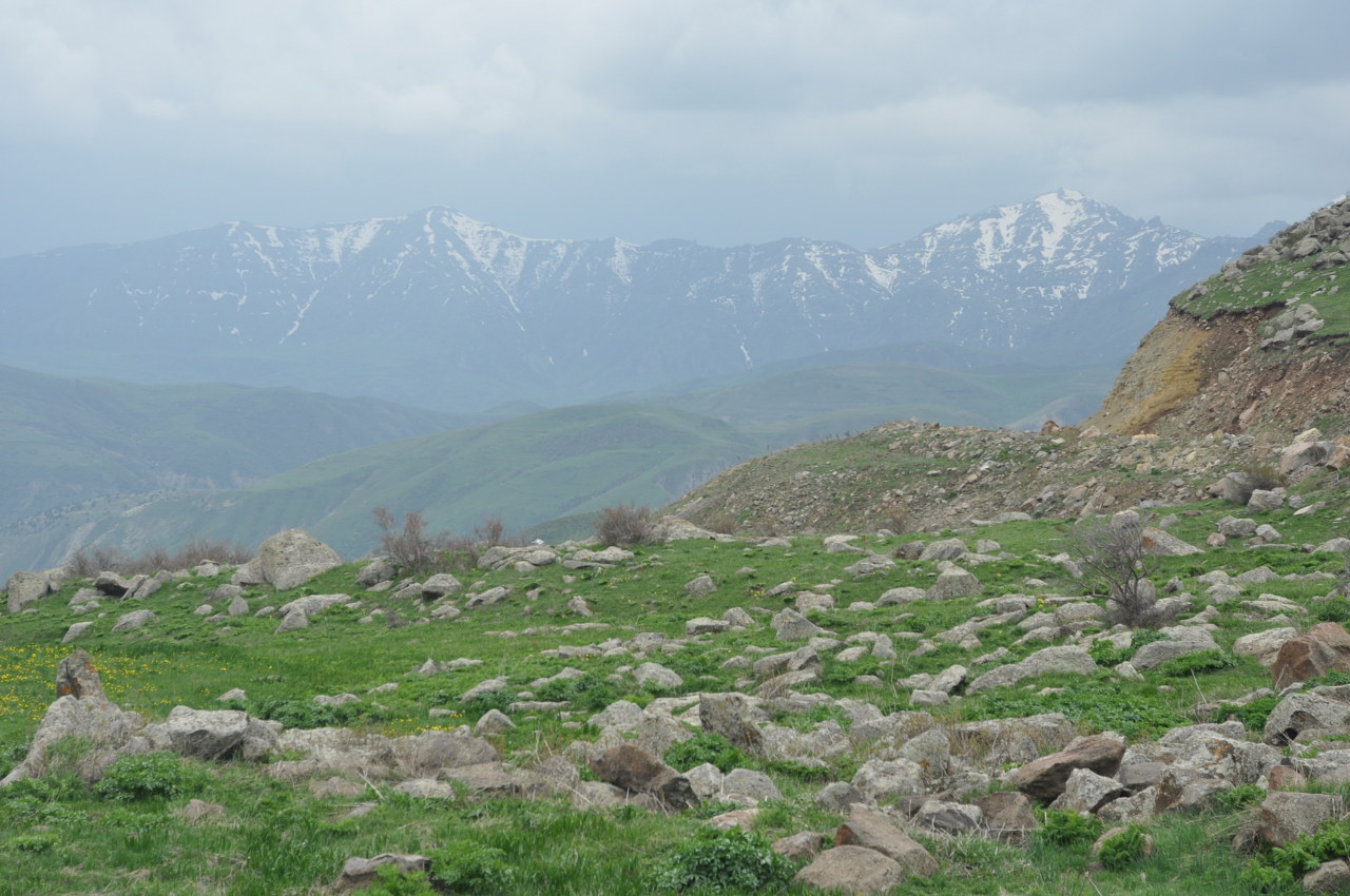 Селимский перевал, image of landscape/habitat.