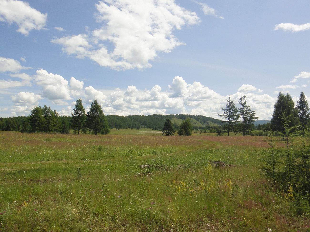 Окрестности Северного, image of landscape/habitat.