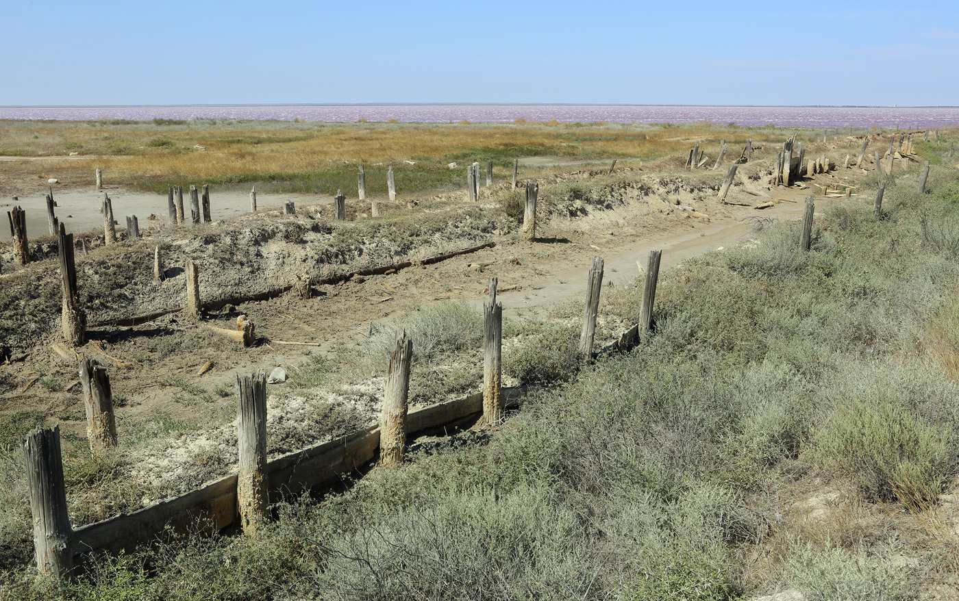 Окрестности озера Сасык, image of landscape/habitat.