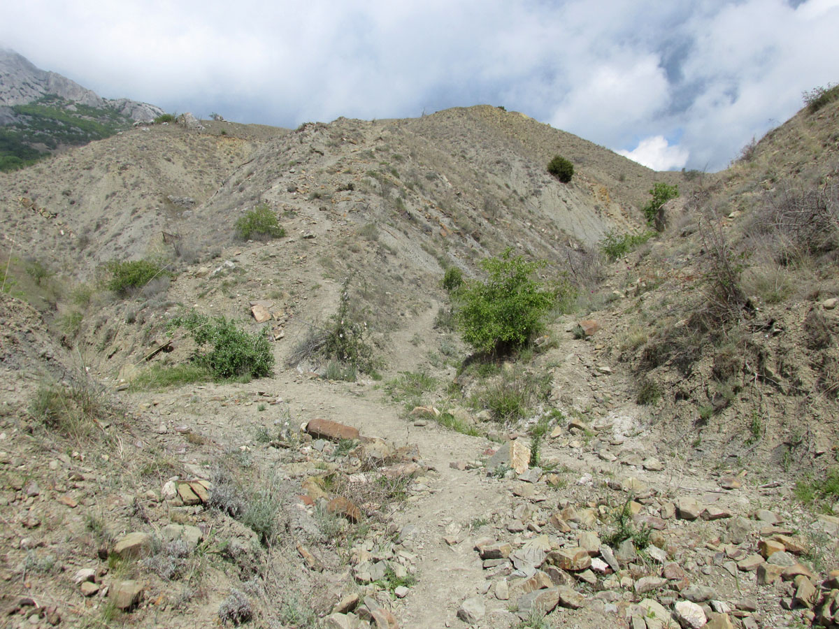 Лисья бухта, image of landscape/habitat.