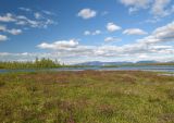 Озеро Глубокое, image of landscape/habitat.