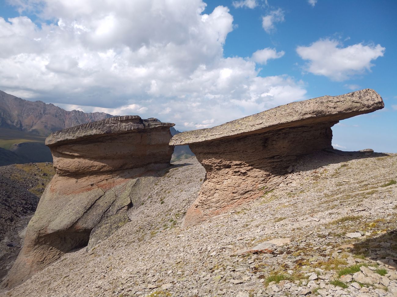 Урочище Каменные Грибы, изображение ландшафта.