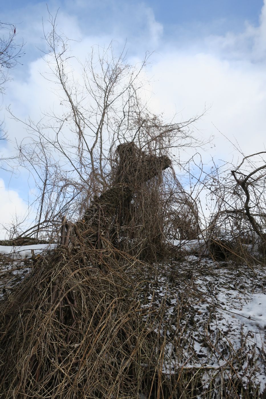 Малоярославец и окрестности, image of landscape/habitat.
