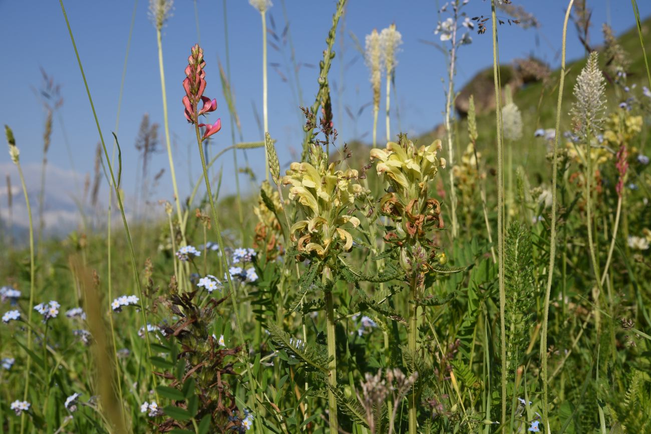 Окрестности урочища Ний, image of landscape/habitat.