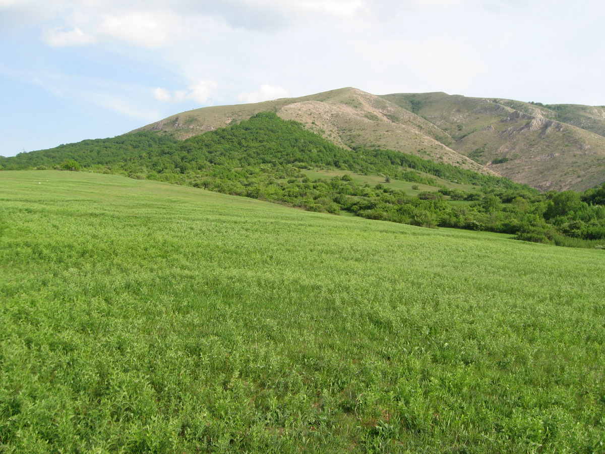 Урочище Аян, изображение ландшафта.