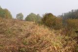 Окрестности устья ручья Исьма, image of landscape/habitat.