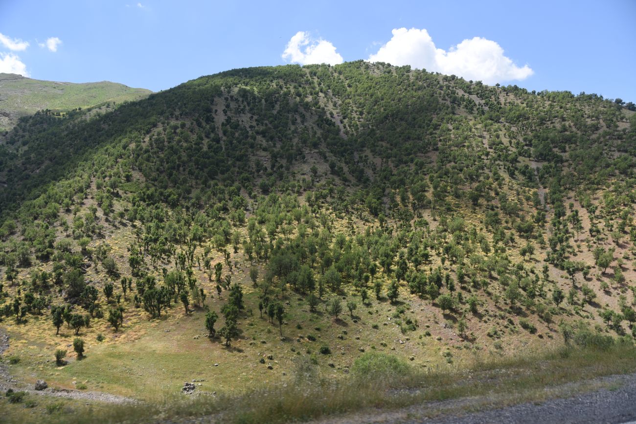 Ортакёй, image of landscape/habitat.