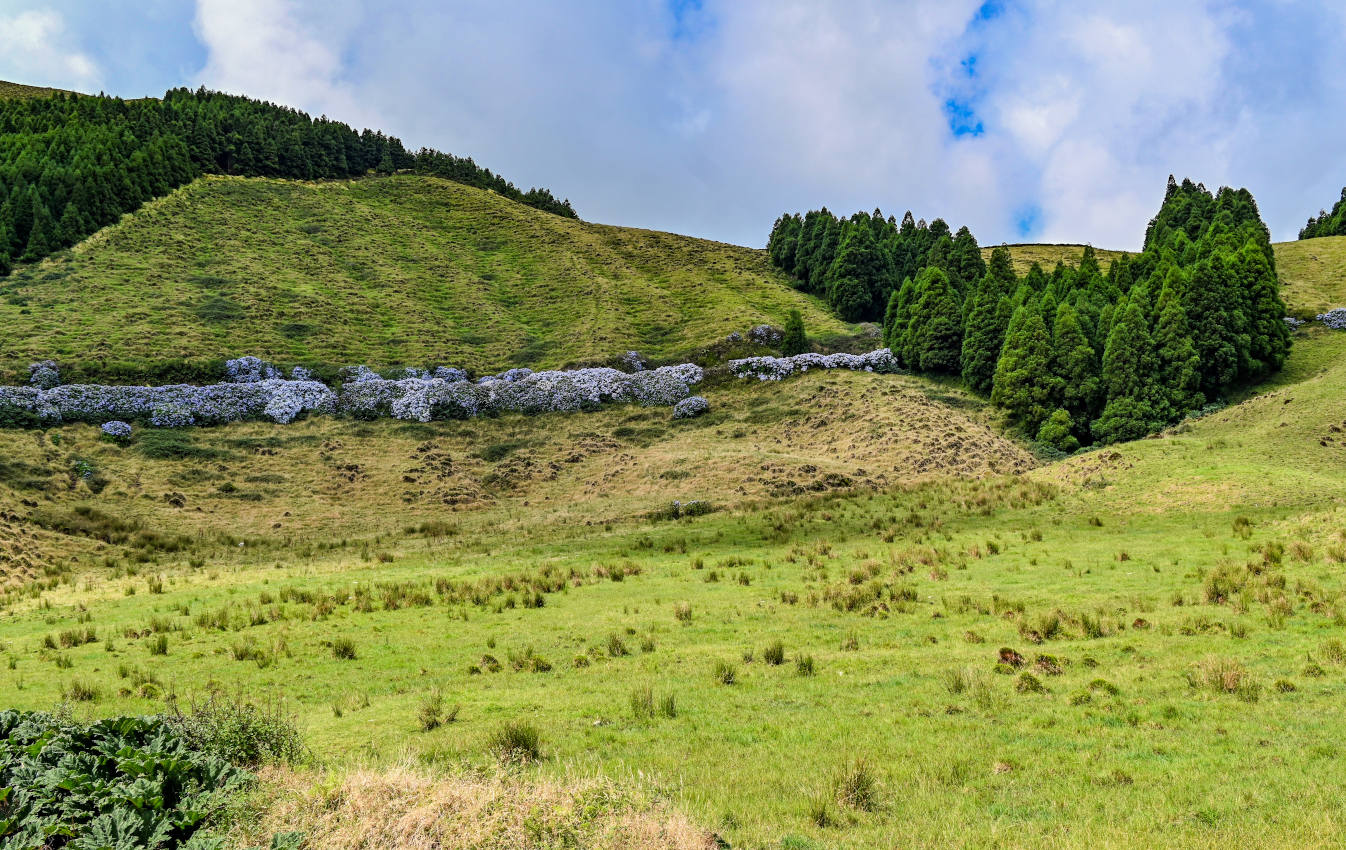 Сети-Сидадиш, image of landscape/habitat.