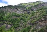 Image of landscape